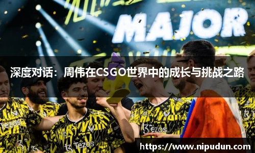 EMC易倍