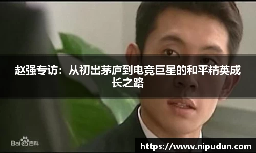 EMC易倍