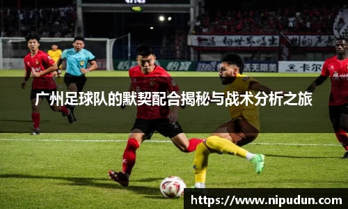 EMC易倍