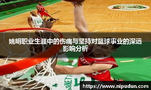 易倍emc体育网页版