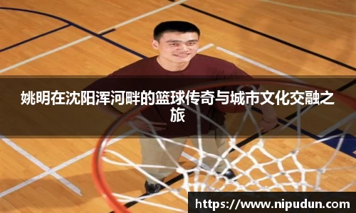 EMC易倍
