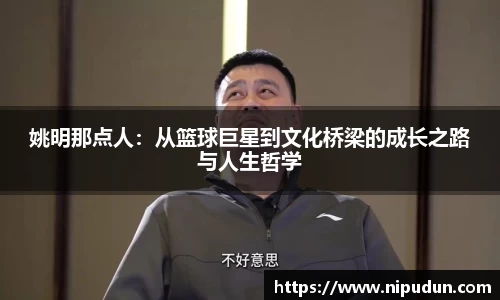 EMC易倍